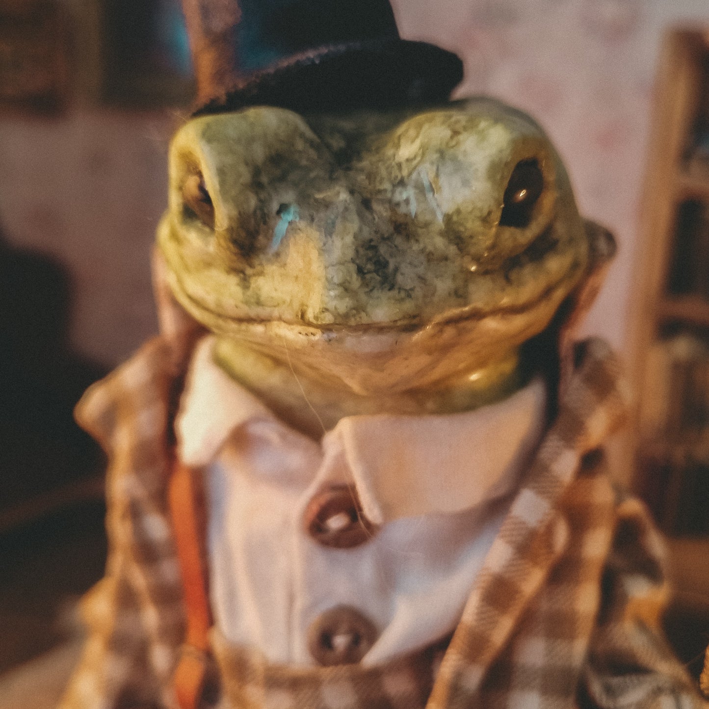 Mr. Beaumont | Papier-mâché Frog